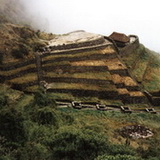 Inca trail - Phuypatamarka